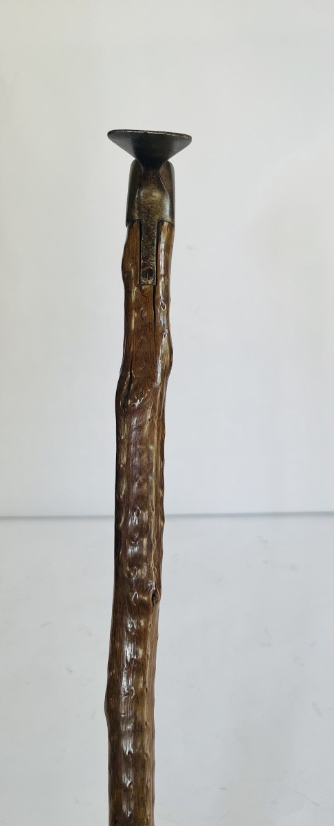 Canne piolet -photo-4